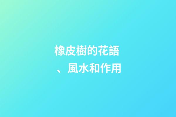 橡皮樹的花語、風水和作用